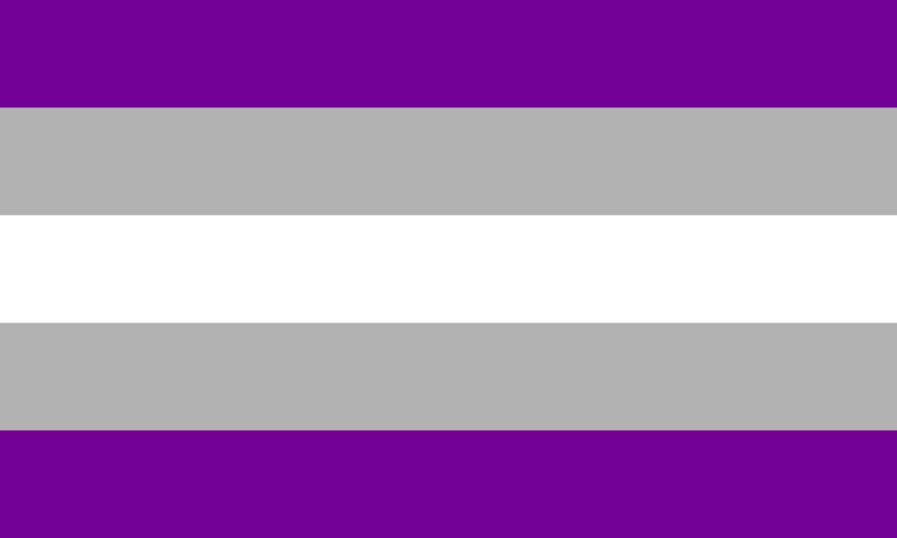 image of the gray asexual flag