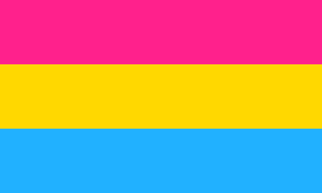 image of the pansexual flag
